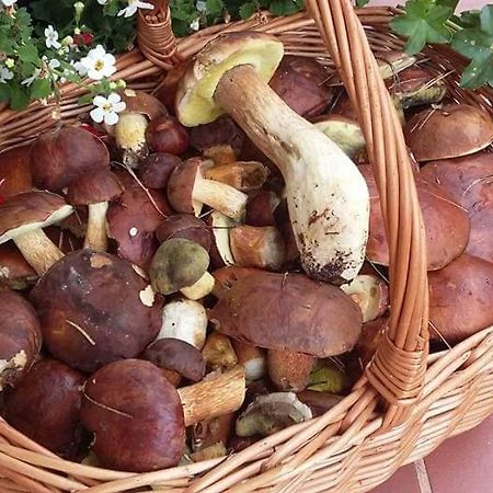 Agroturystyka Rebowo Klodawa  Exteriör bild