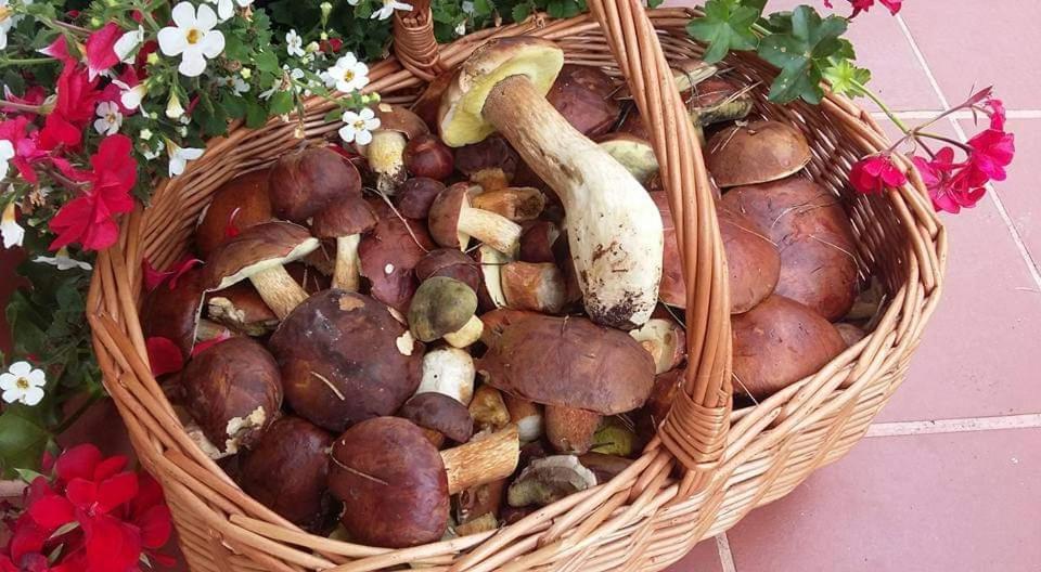 Agroturystyka Rebowo Klodawa  Exteriör bild